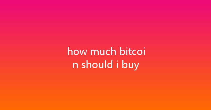 how much bitcoin should i buy 